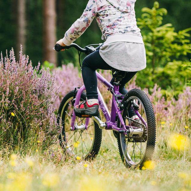 Purple discount childrens bike