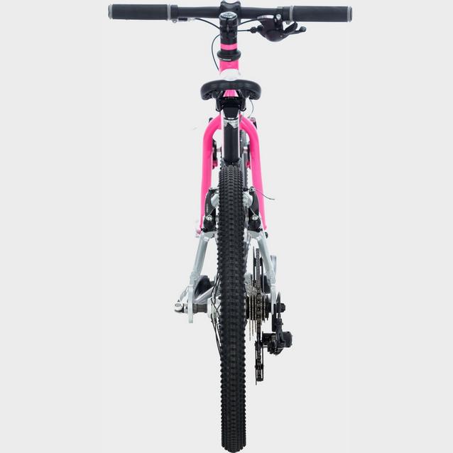 Wild bikes best sale 20 pink