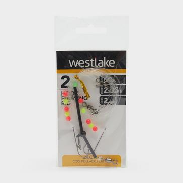 Coral Westlake 2 Hook Flowing Rig  2