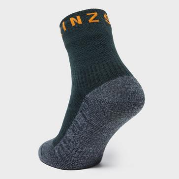 Black Sealskinz Men's Thin Ankle Socks