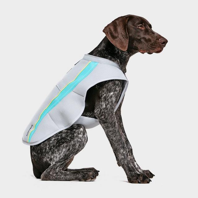 Ruffwear swamp 2025 cooler vest