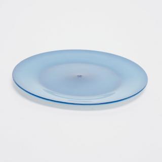 Deluxe Plastic Plate