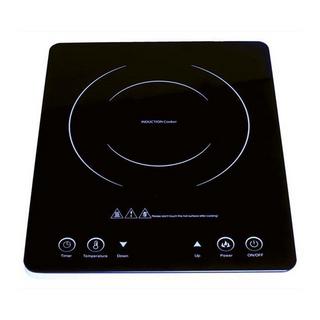 Low Wattage Induction Cooker
