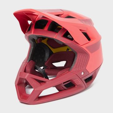  Fox Proframe Quo Helmet