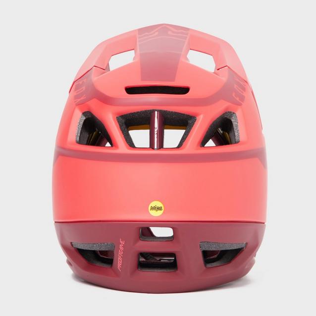 FOX Proframe Quo Helmet