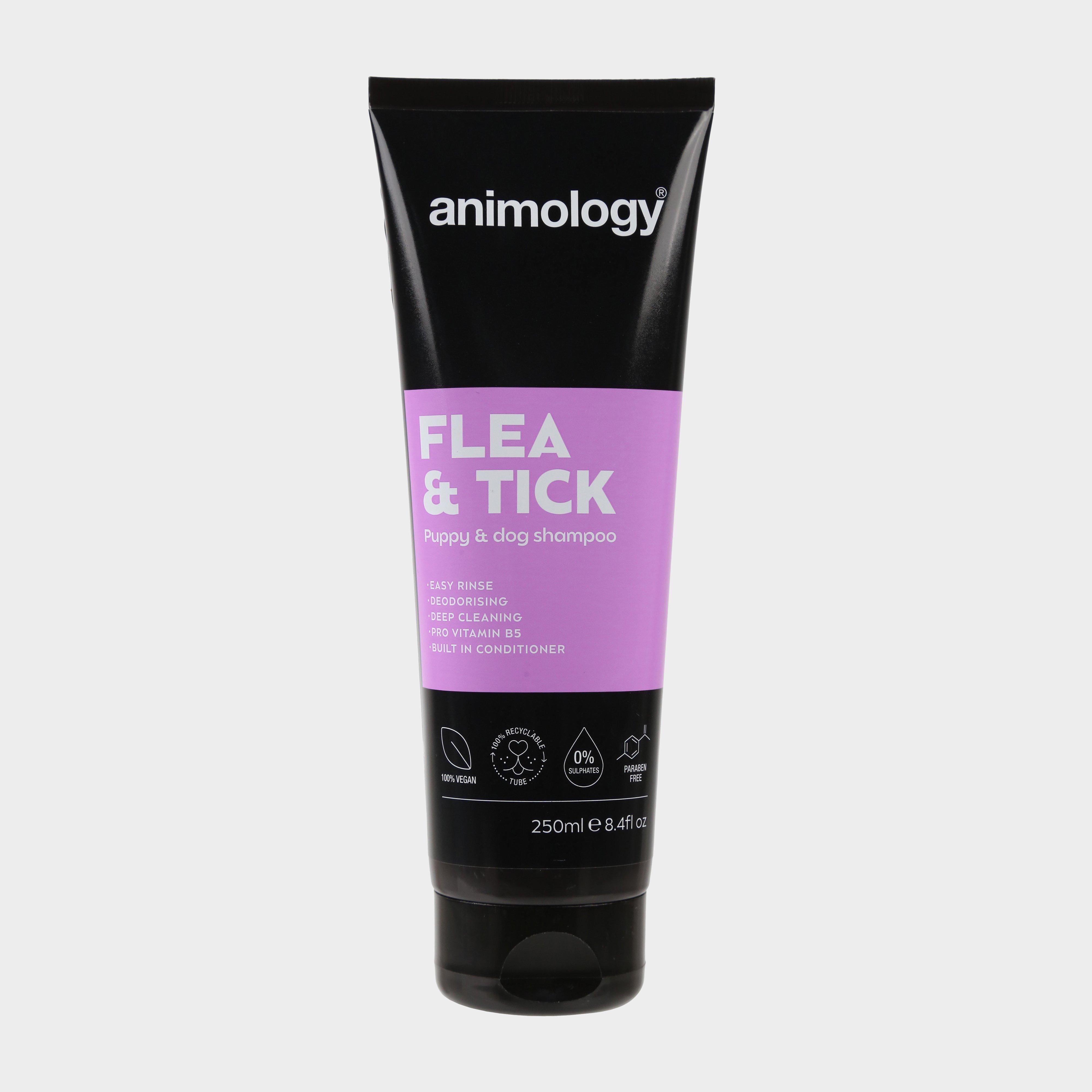 Image of Animology Flea & Tick Dog Shampoo - Black/250, Black/250