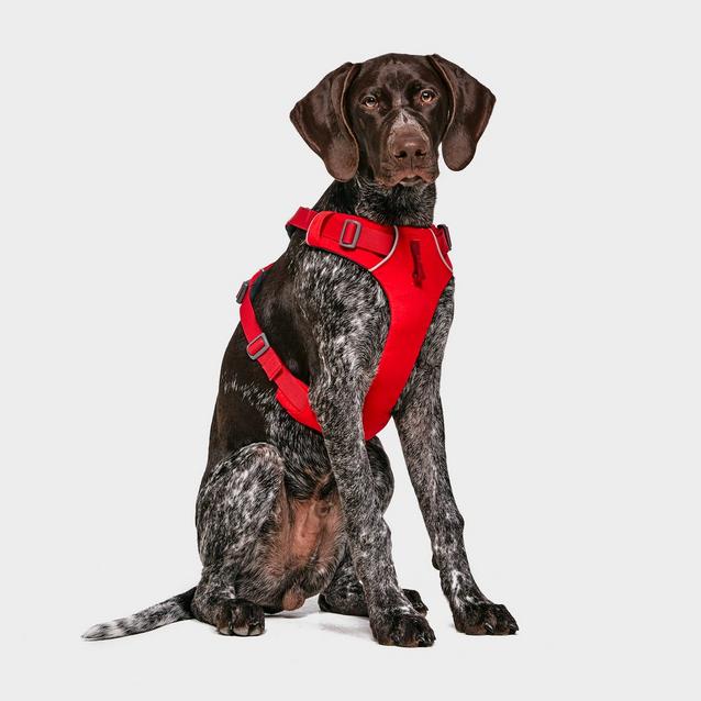 Red Ruffwear Front Range Dog Harness Red image 1