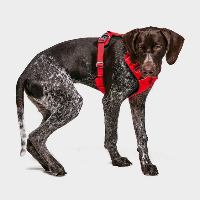 Ruffwear Front Range Dog Harness Red Ultimate Outdoors