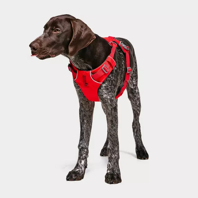 Ruffwear Front Range Dog Harness Red Blacks