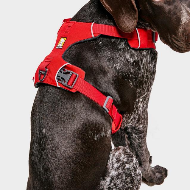 Ruffwear Front Range Dog Harness Red Blacks