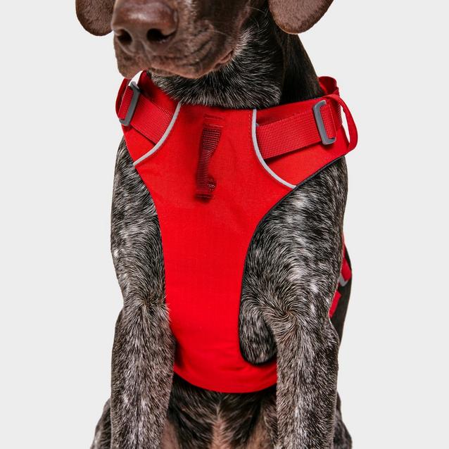 Ruffwear Front Range Dog Harness Red Millets