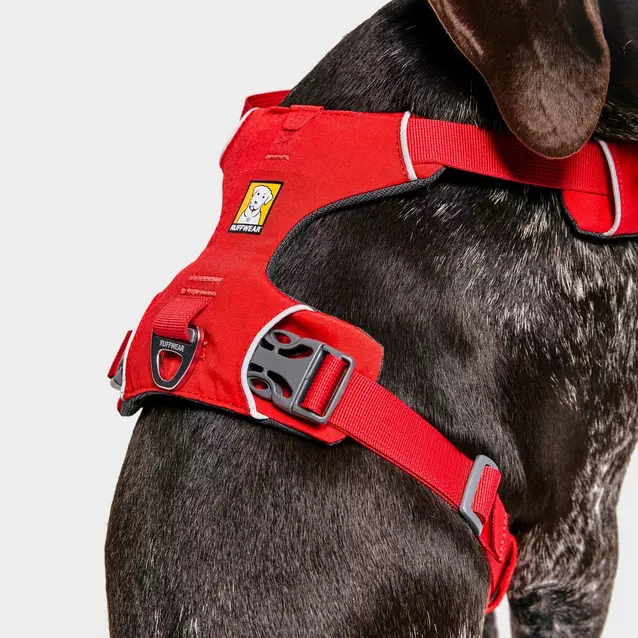 Front Range Dog Harness Red