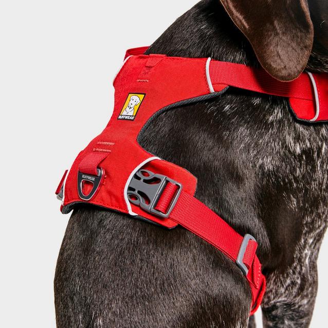 Ruffwear front hotsell range harness