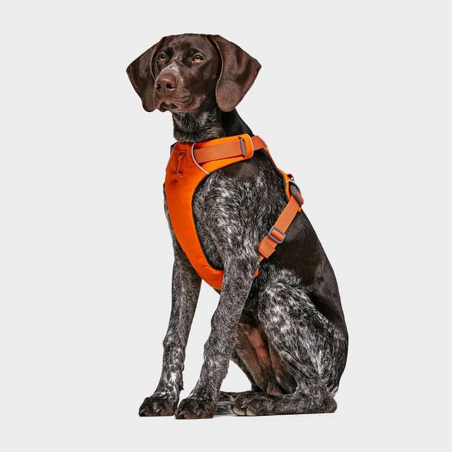 Ruffwear Front Range™ Dog Harness