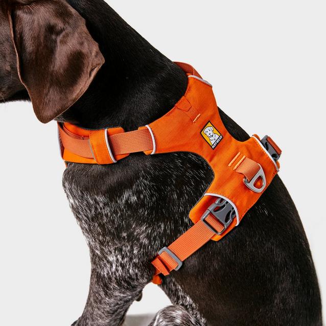 Ruffwear Front Range Dog Harness Orange Millets