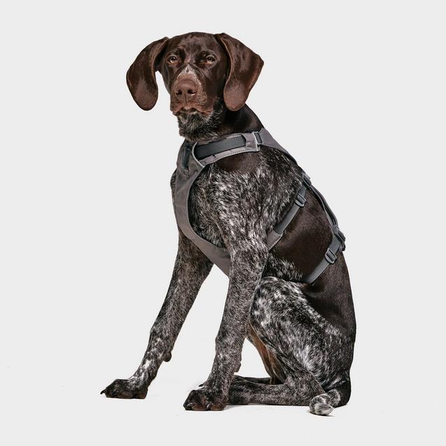 Grey Ruffwear Flagline Dog Harness image 1