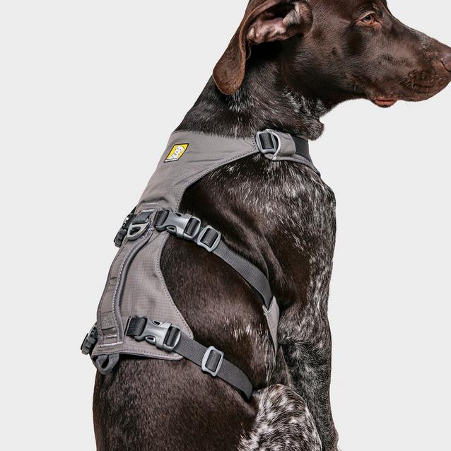 Flagline Dog Harness