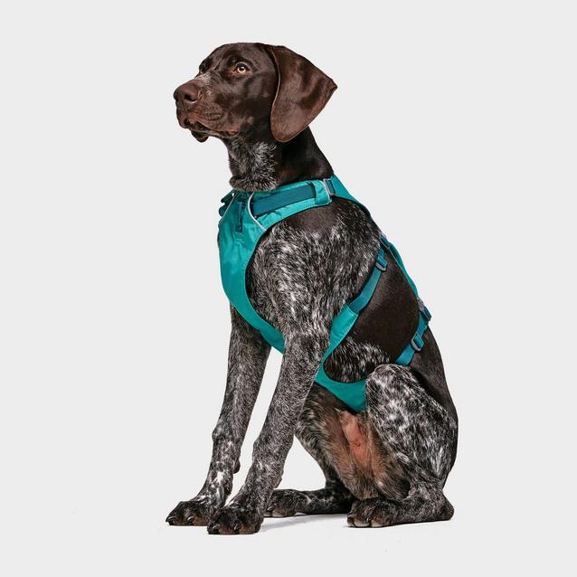 Ruffwear Flagline Dog Harness Blacks