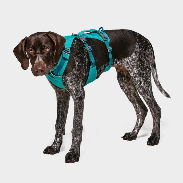 Ruffwear Flagline Dog Harness Ultimate Outdoors