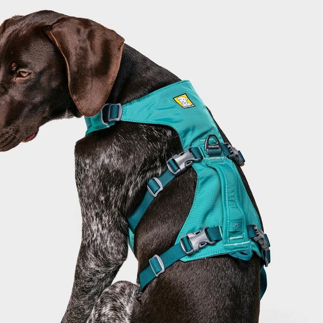 Ruffwear Flagline Dog Harness Millets