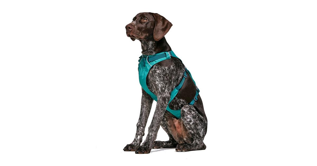 Ruffwear Flagline Dog Harness Ultimate Outdoors