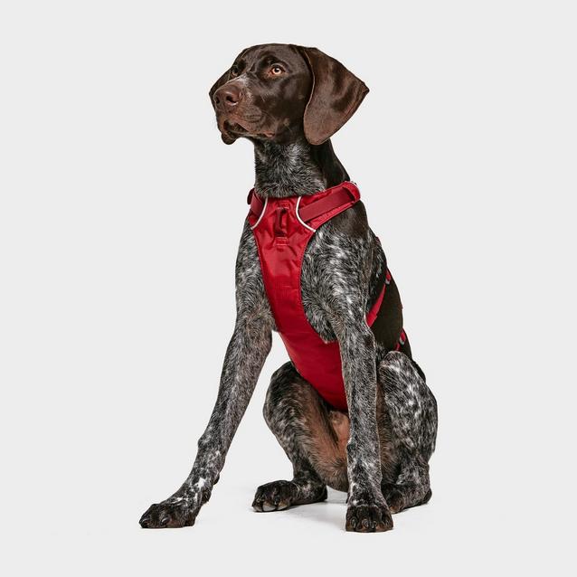 Red Ruffwear Flagline Dog Harness image 1