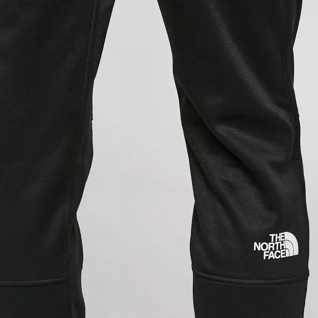 The north store face surgent joggers