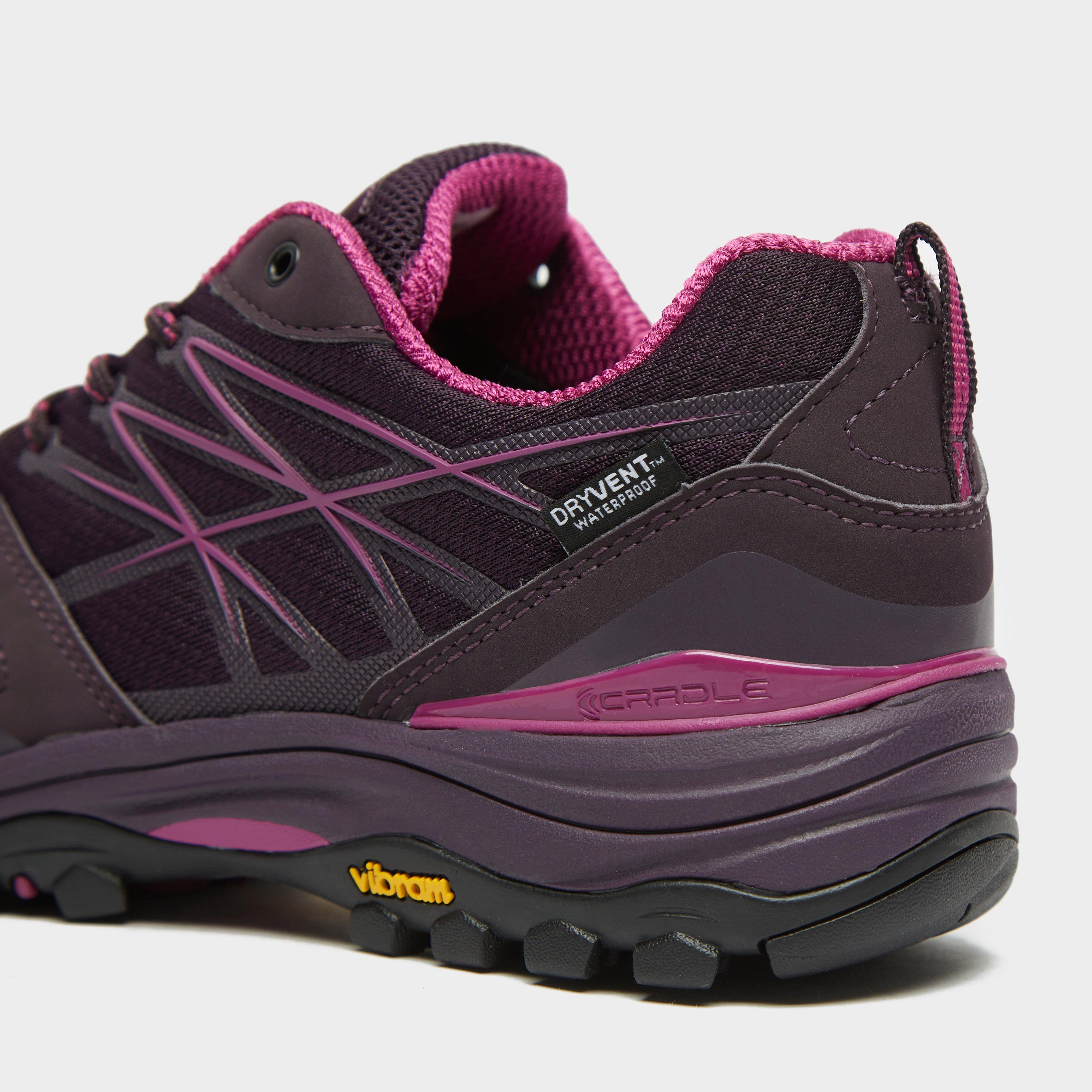 north face hedgehog sale