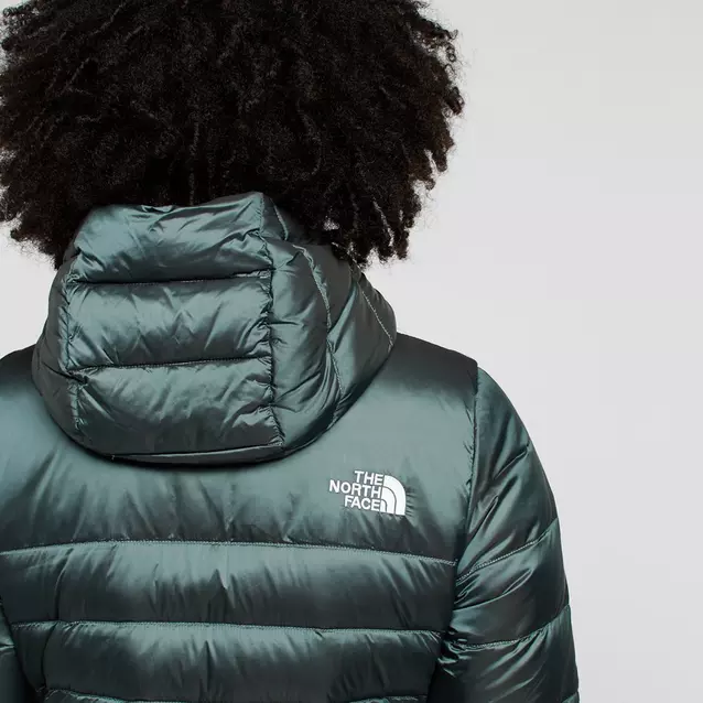Women's Aconcagua Hooded Down Jacket | craft-ivf.com