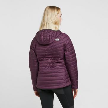 North face store spring coat