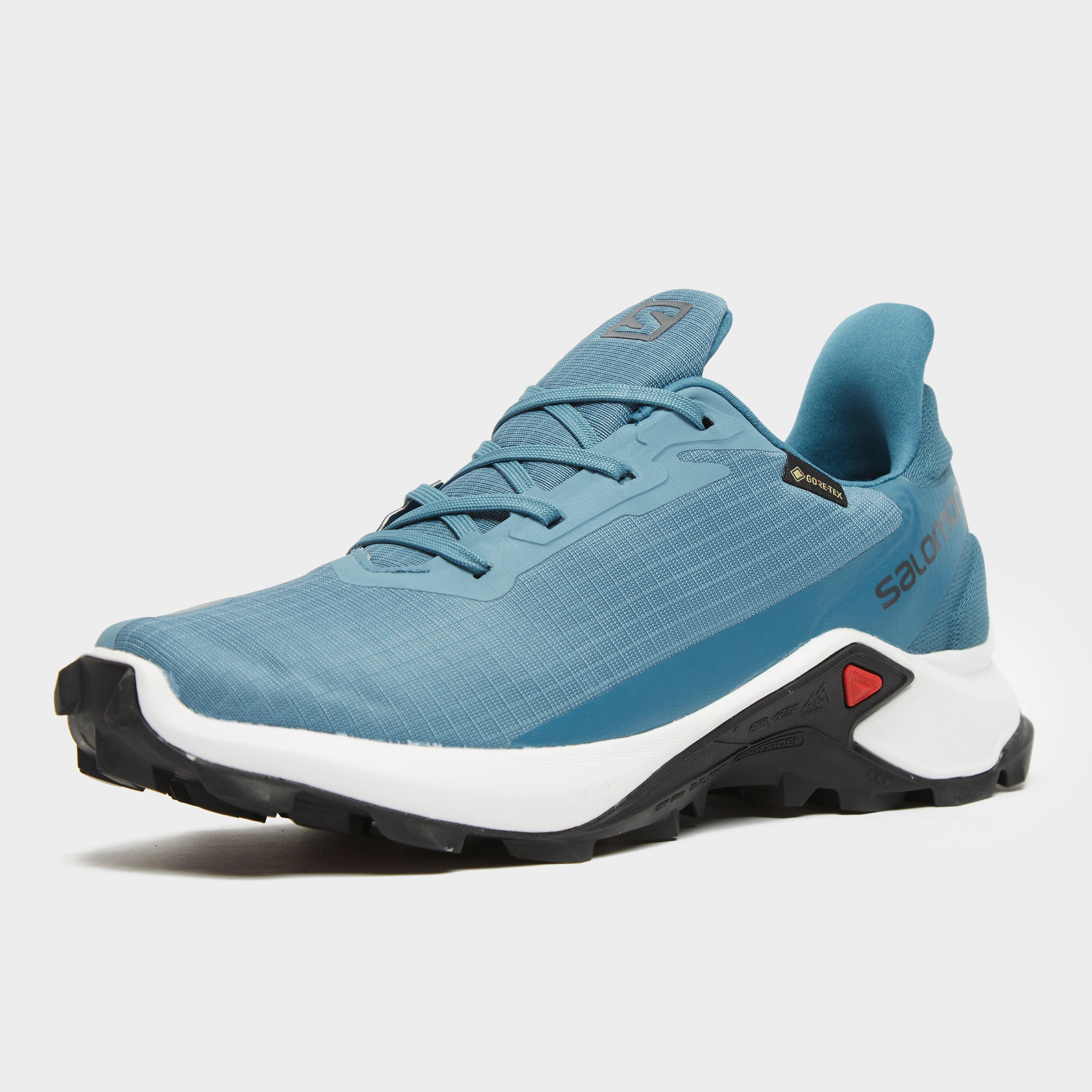 salomon mens walking boots