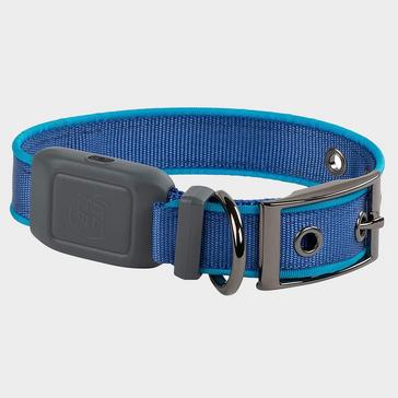 Blue Niteize Nitedog LED Rechargeable Collar Blu