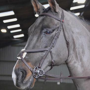 Black Whitaker Ready-To-Ride Mexican Bridle