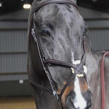 Black Whitaker Ready-To-Ride Mexican Bridle