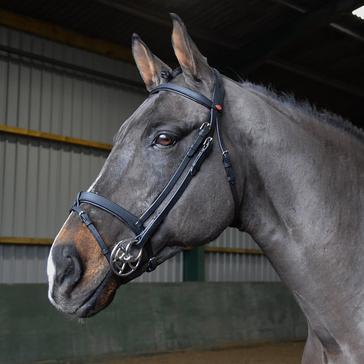 BLACK Whitaker Ready-To-Ride Snaffle Flash Bridle