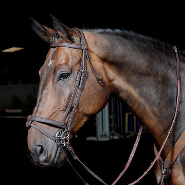 Brown Whitaker Ready-To-Ride Snaffle Flash Bridle
