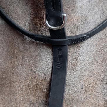 Black Whitaker Ready-To-Ride Martingale