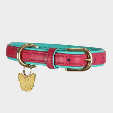 pink Digby & Fox Padded Leather Dog Collar