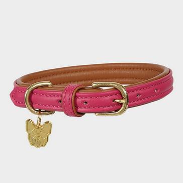 pink Digby & Fox Padded Leather Dog Collar
