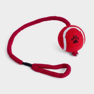 Red Petface Ball on a Rope