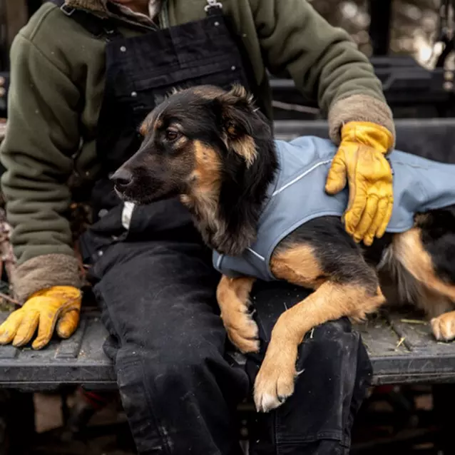 Ruffwear Overcoat Dog Jacket Blacks