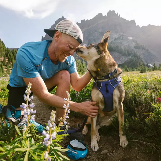 Ruffwear Front Range Harness Ultimate Outdoors