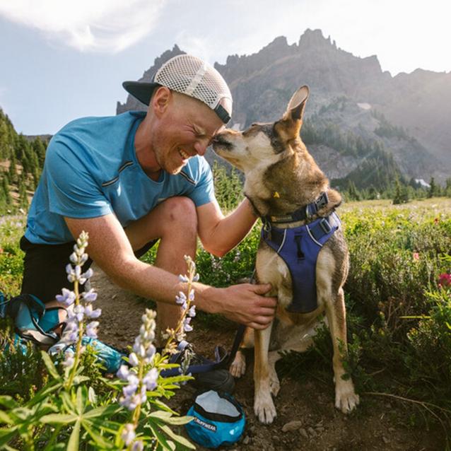 Ruffwear range outlet harness