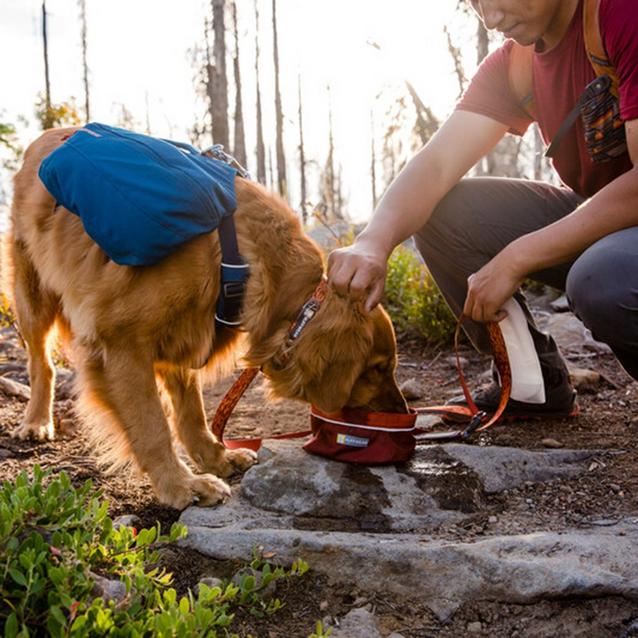 Ruffwear Front Range Day Pack Ultimate Outdoors