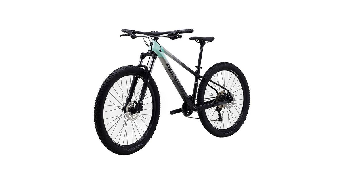 POLYGON Xtrada 5 29 Mountain Bike Millets