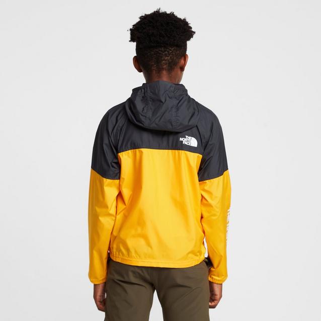 North face cheap windwall 2