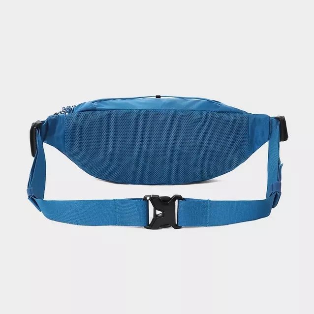 The north face lumbnical lumbar hot sale waist bag