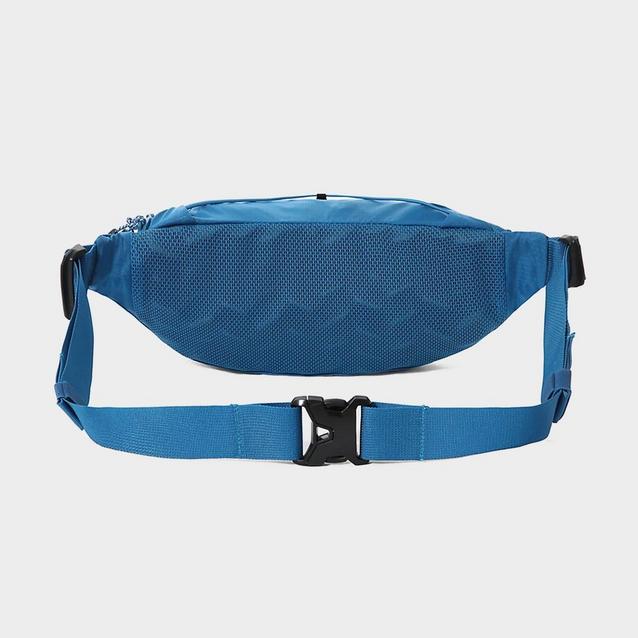 The north face on sale lumbnical lumbar waist bag