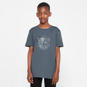 Grey Dare 2B Kids' Go Beyond T-Shirt