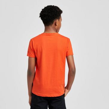 Orange Dare 2B Kids' Go Beyond T-Shirt
